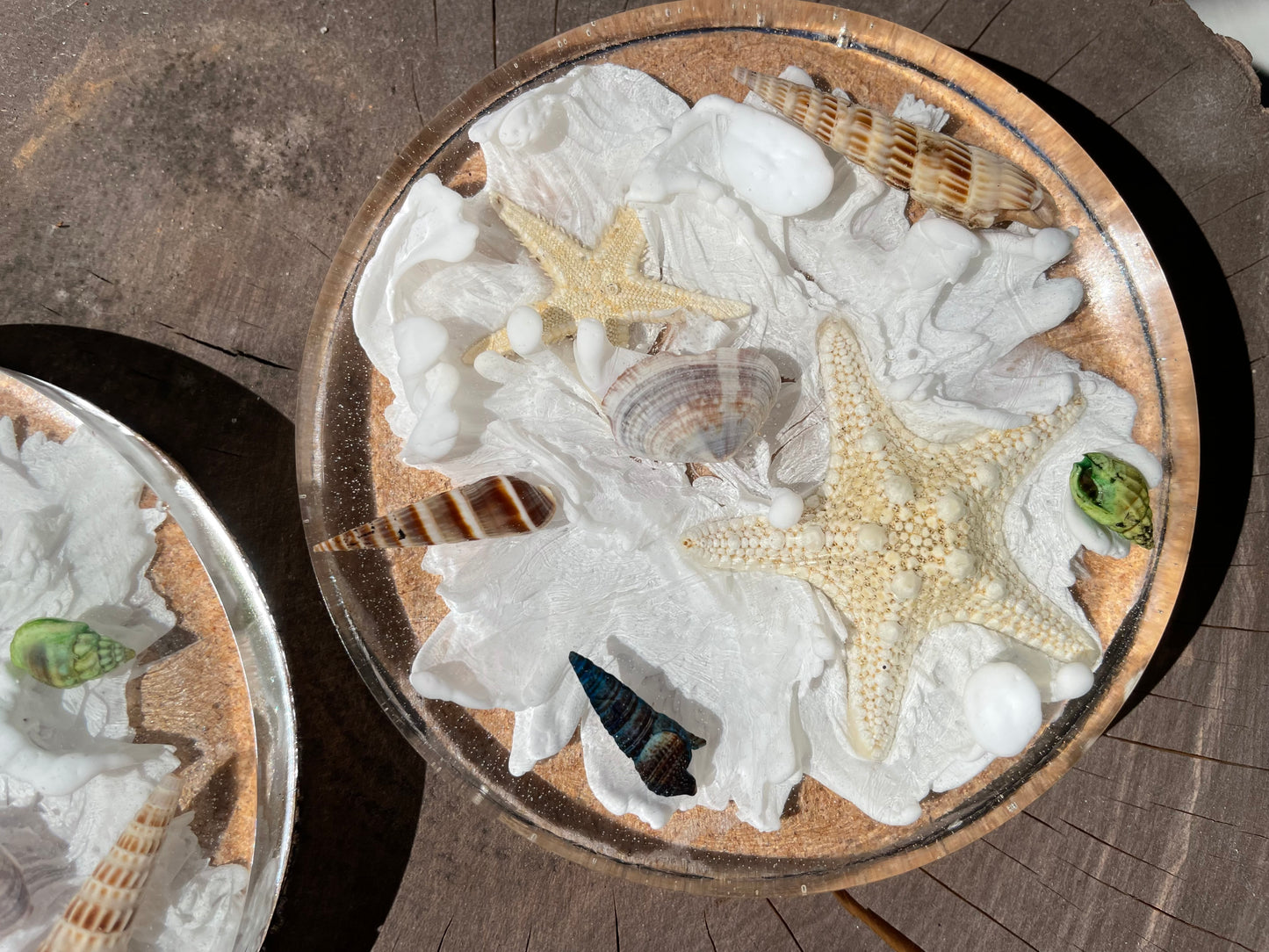 Starfish Coasters